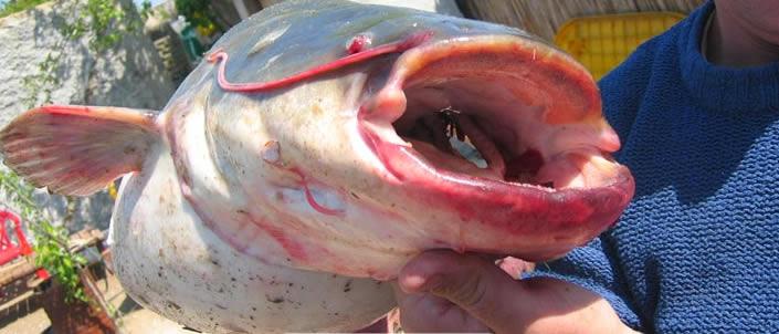 Nice :) - pescuit5-big.jpg